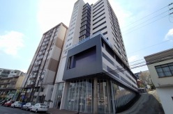 Edifício Avenida Central, Avenida Tupi