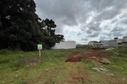 Rua Vitorino Tiocheta